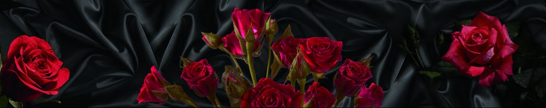 skinali 0997